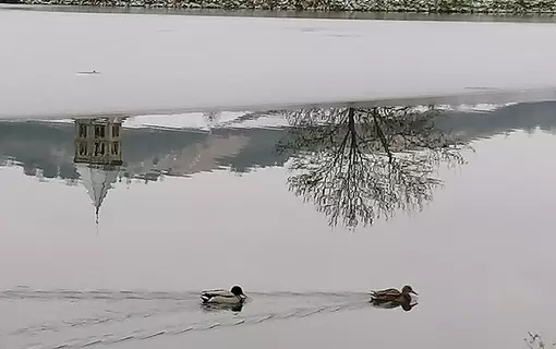 Vue d'eau à Chauriat